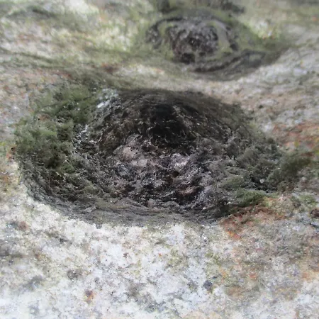 Casa Da Granja Arouca