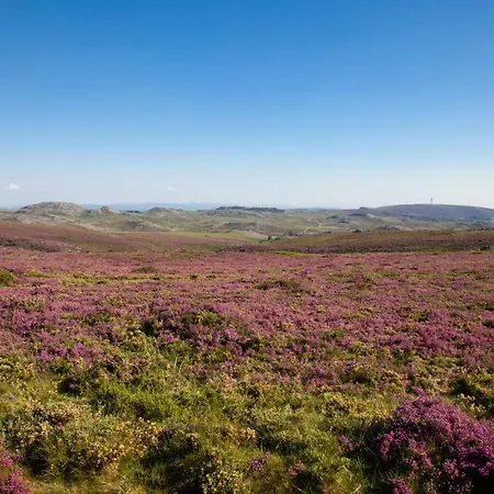 Casa Da Granja * Arouca
