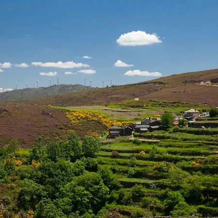 Casa de Férias Casa Da Granja *